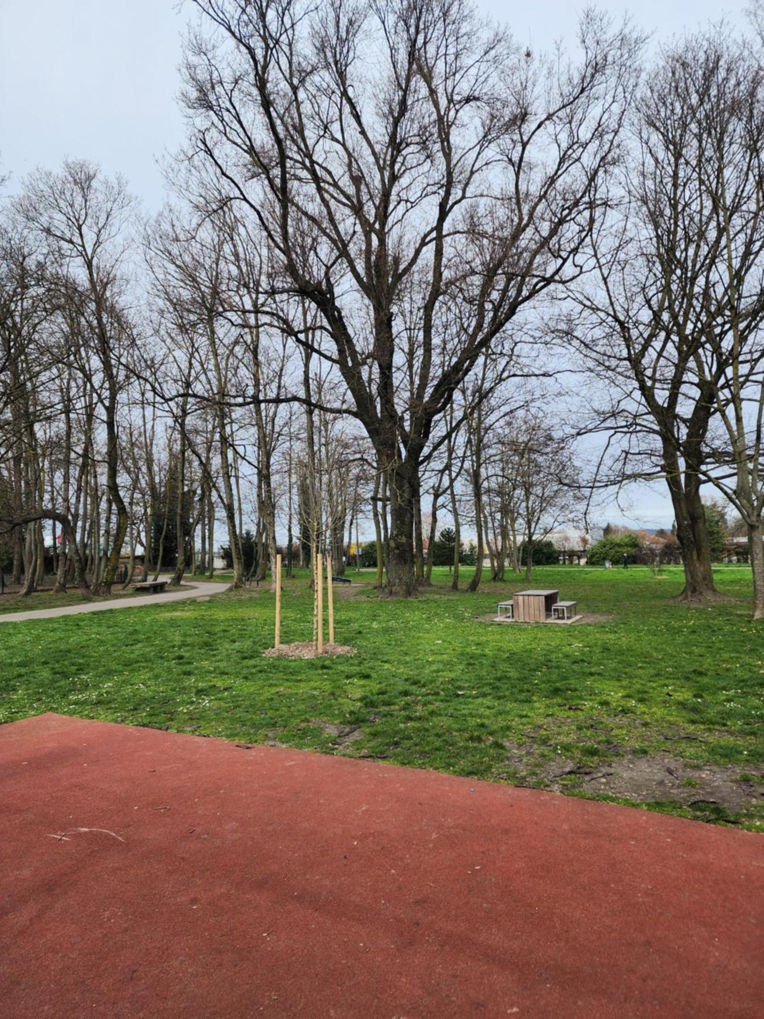 Agreable T2/Centre-Ville *10 Min Gare* Bourgoin-Jallieu Buitenkant foto